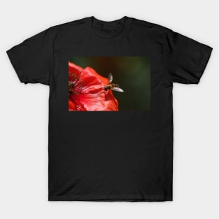 Hoverfly on the Poppy T-Shirt